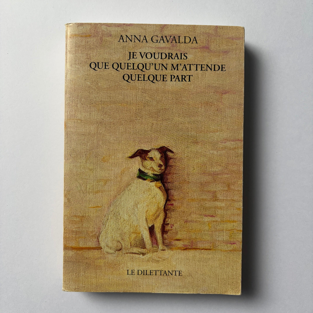 Je voudrais que quelqu’un m’attende quelque part - Anna Gavalda