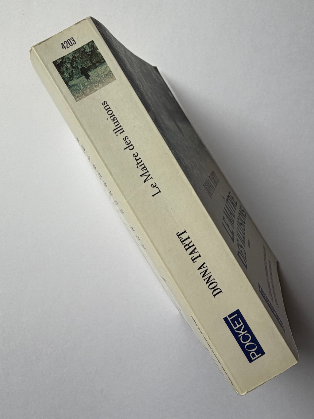 Le Maître des illusions - Donna Tartt