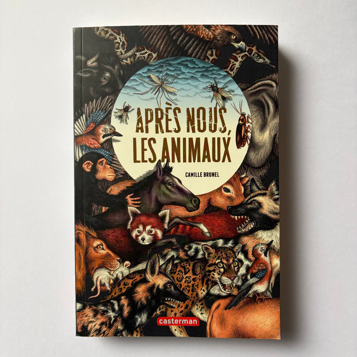 Après nous, les animaux - Camille Brunel