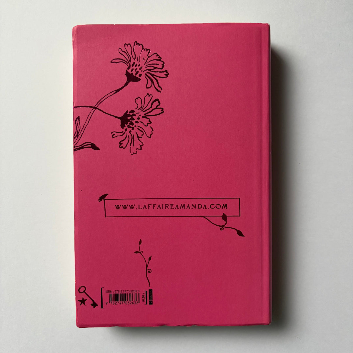 L’affaire Amanda  T. 1 - Stella Lennon