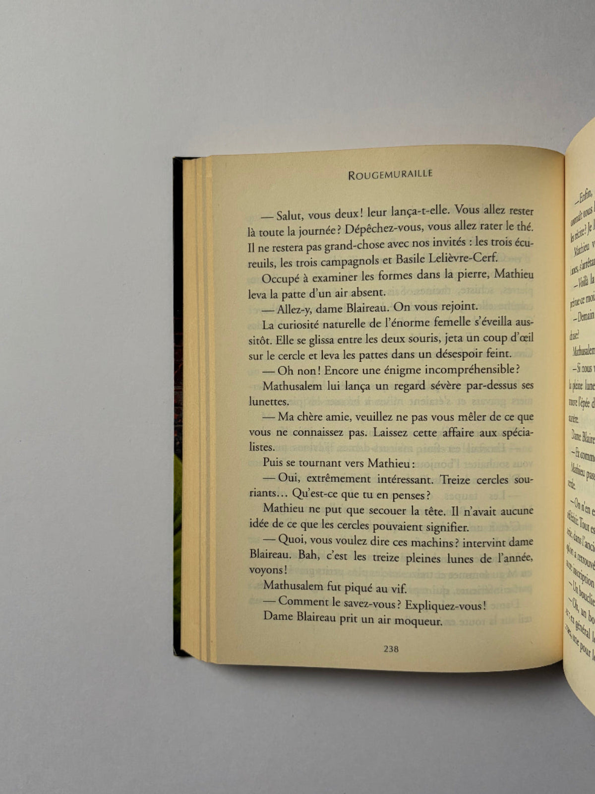 Rougemuraille T.1 - Brian Jacques