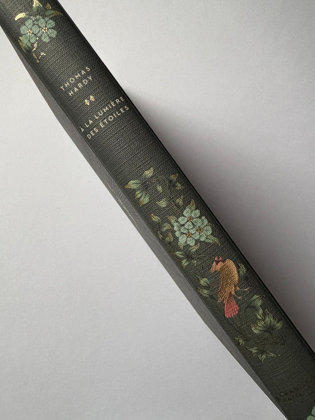 À la lumière des étoiles - Thomas Hardy