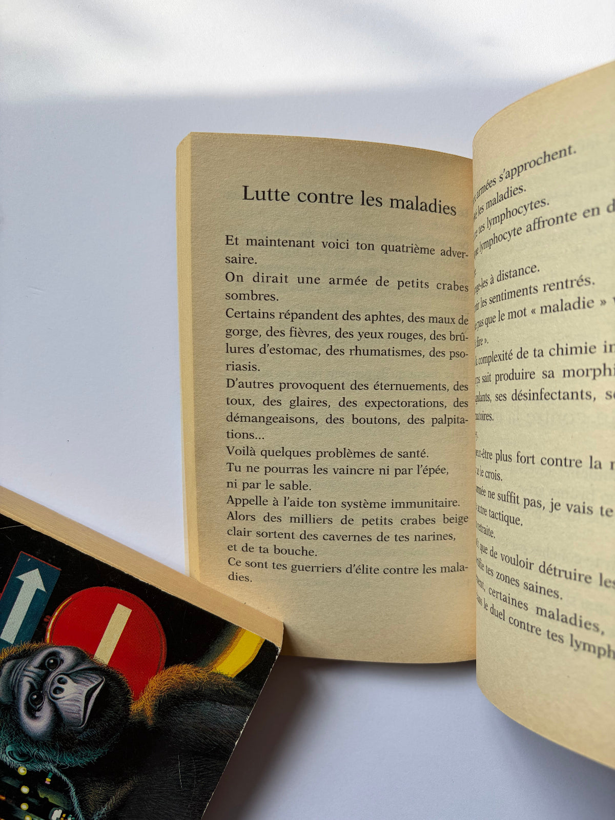 Le Livre du voyage - Bernard Werber