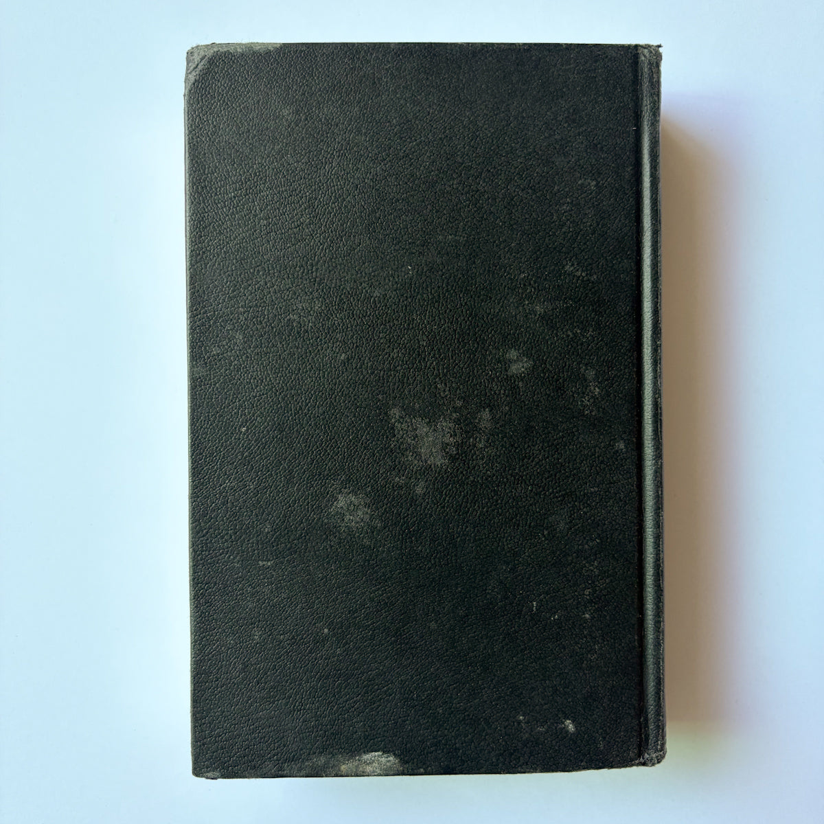 Sépulture - Stephen Dobyns